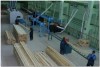 Во Владимирской области завершено строительство уникального завода