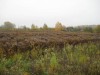 В Петушинском районе фермер незаконно купил себе землю