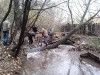 Вязниковская речка нуждается в очистке  