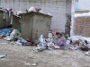 Александров «зарастает» мусором