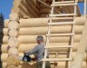 В 2014 под Кольчугино построят деревянные дома для многодетных