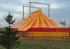 В Петушинском районе построят цирк