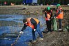 Очистку Соловьиного пруда профинансирует мэрия